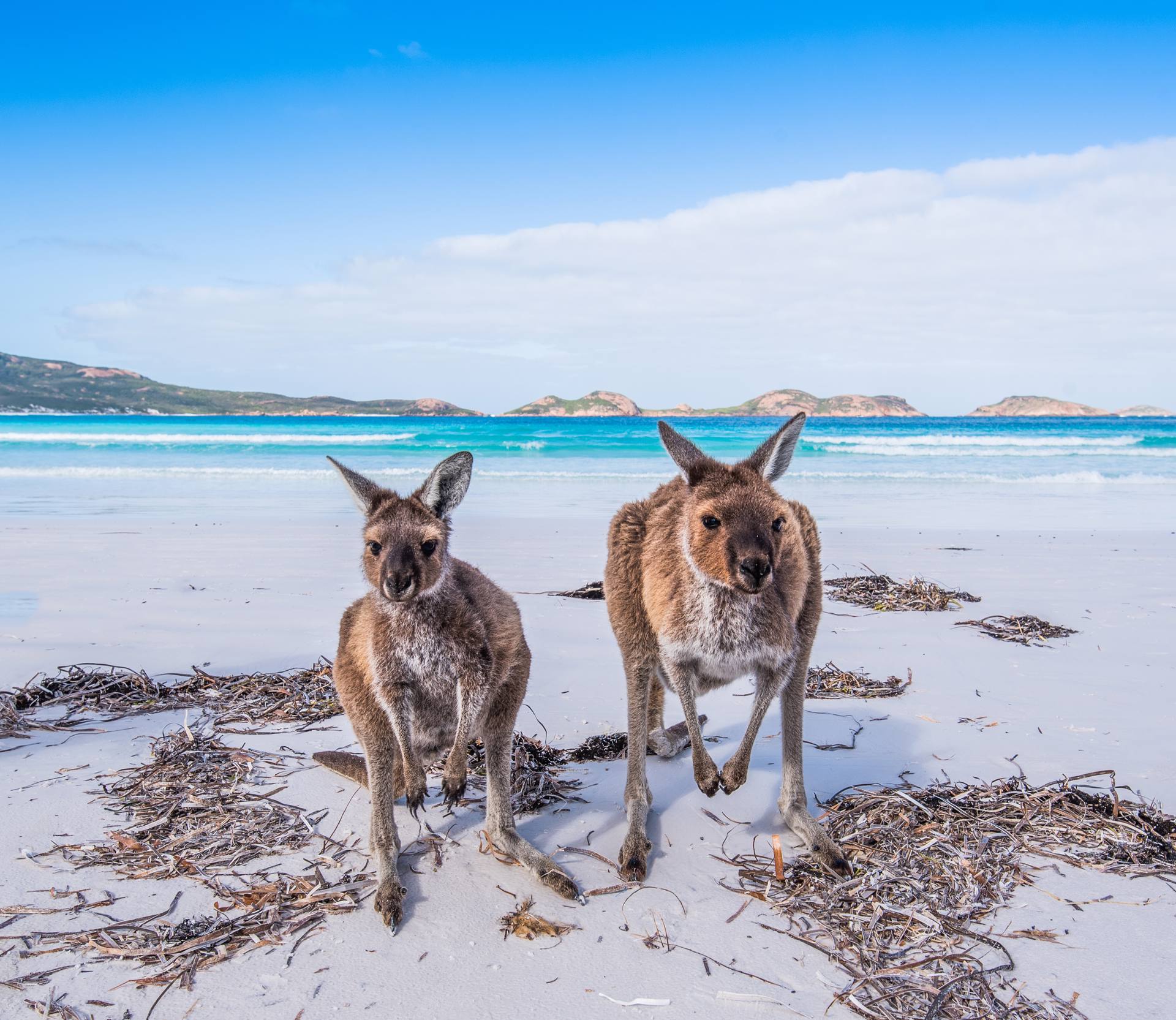 Tour dell’Australia: viaggio nell’isola dei Canguri