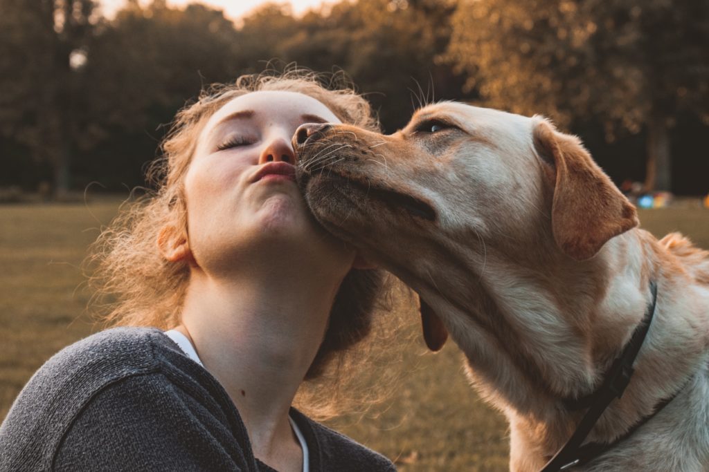  destinazioni pet-friendly in Europa