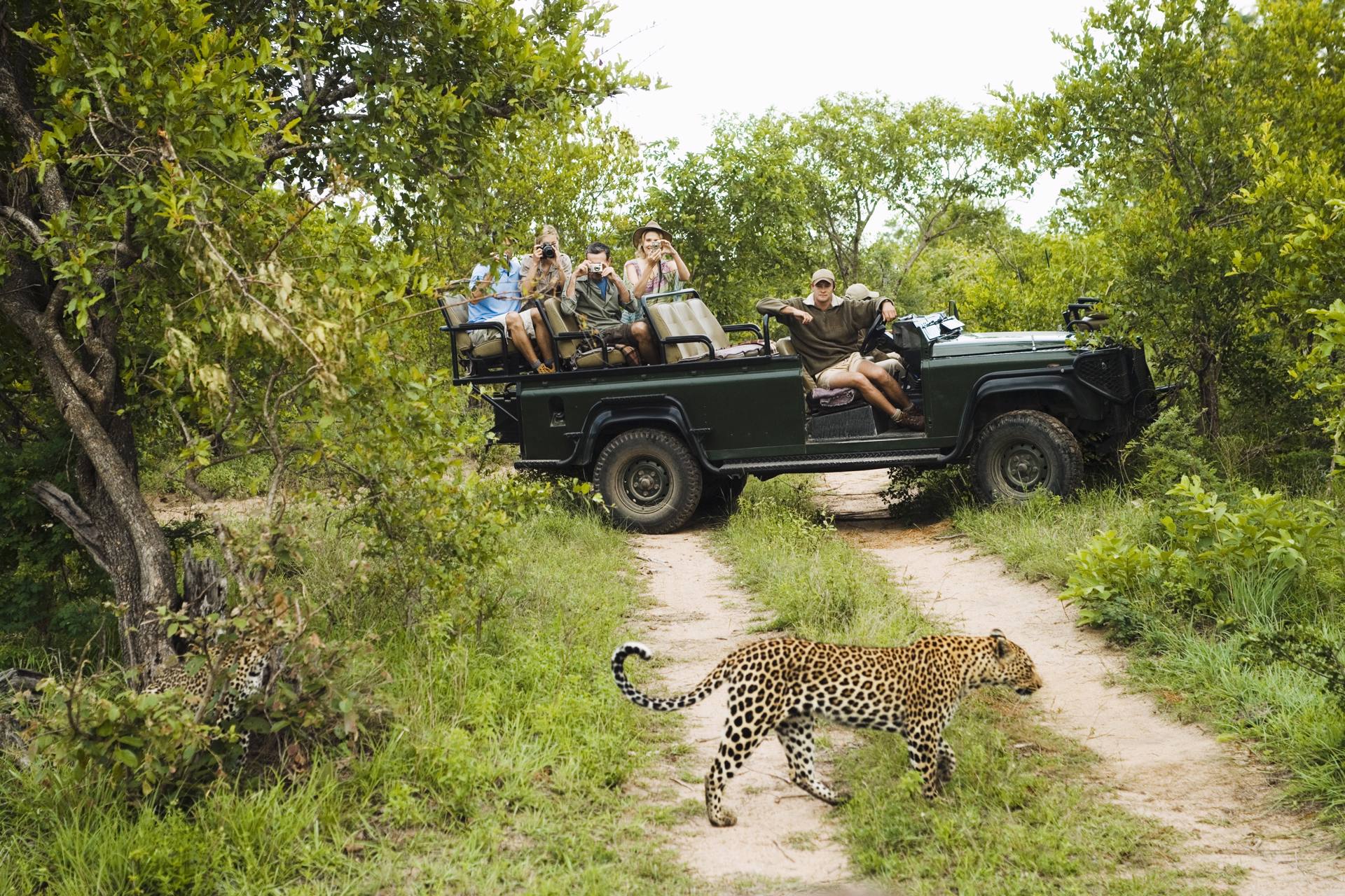 Tour del Sudafrica