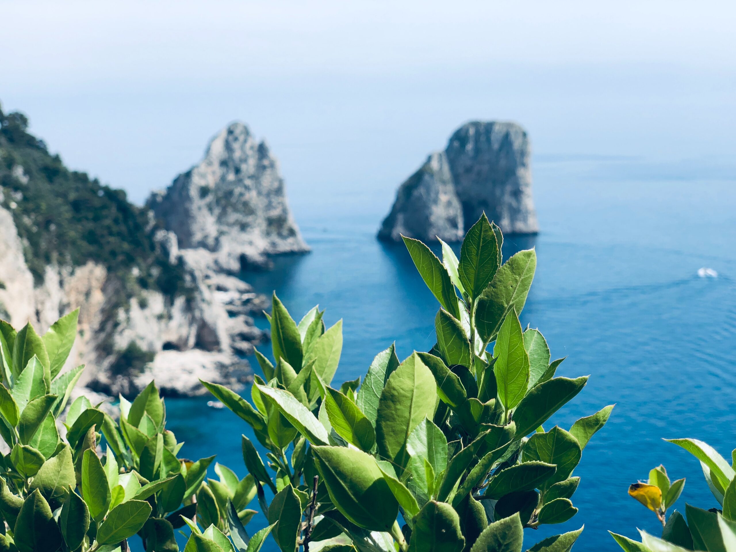 Capri in Aliscafo