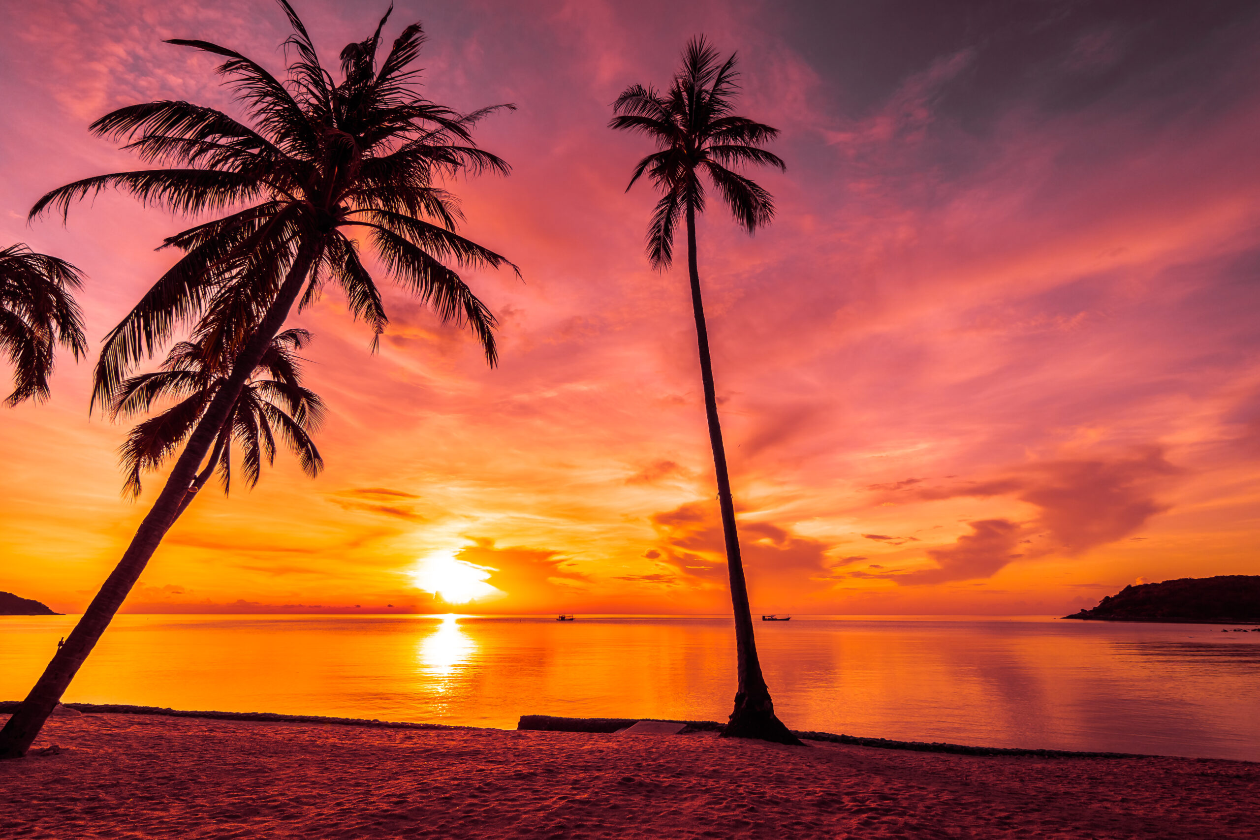 Miami e Barbados: 10 giorni tra città e paradiso tropicale